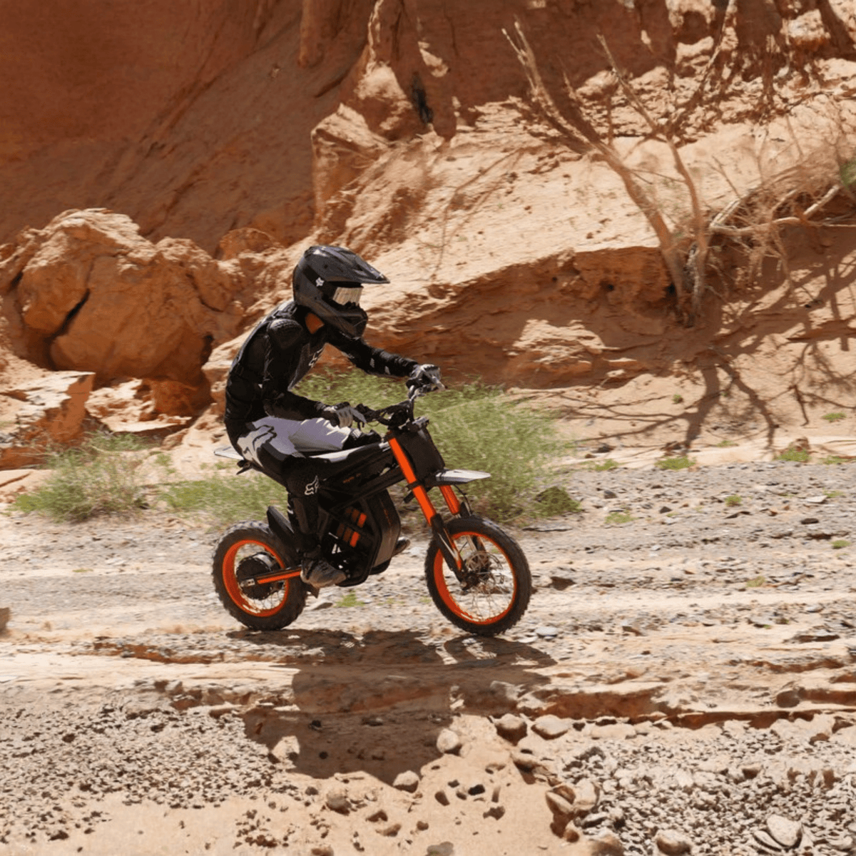 Riding'times GT54 - El - cross - Wheelyshop
