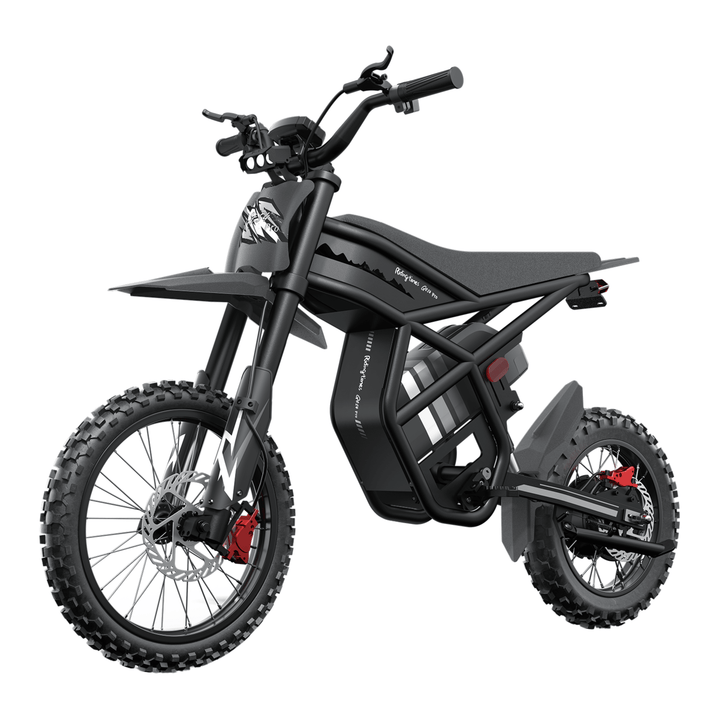 Riding'times GT54 Pro - Moto da cross elettrica - Wheelyshop