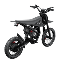 Moto da cross elettrica Ridingtimes GT54 Pro vista di lato