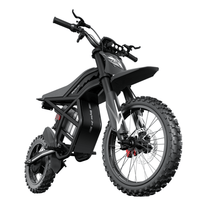 Moto da cross elettrica Ridingtimes GT54 Pro vista di tre quarti da sinistra