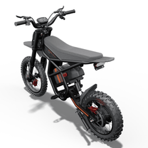 Moto da cross elettrica Ridingtimes GT54 Pro vista di lato da destra