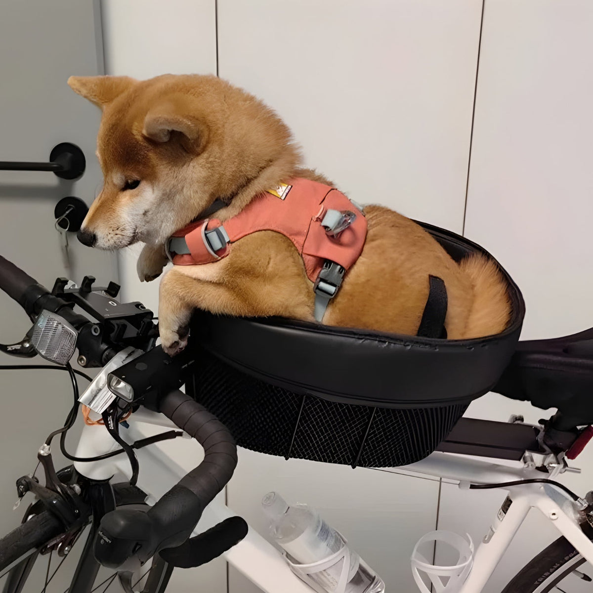 Smart hundkorg cykel - Tillbehör - Wheelyshop