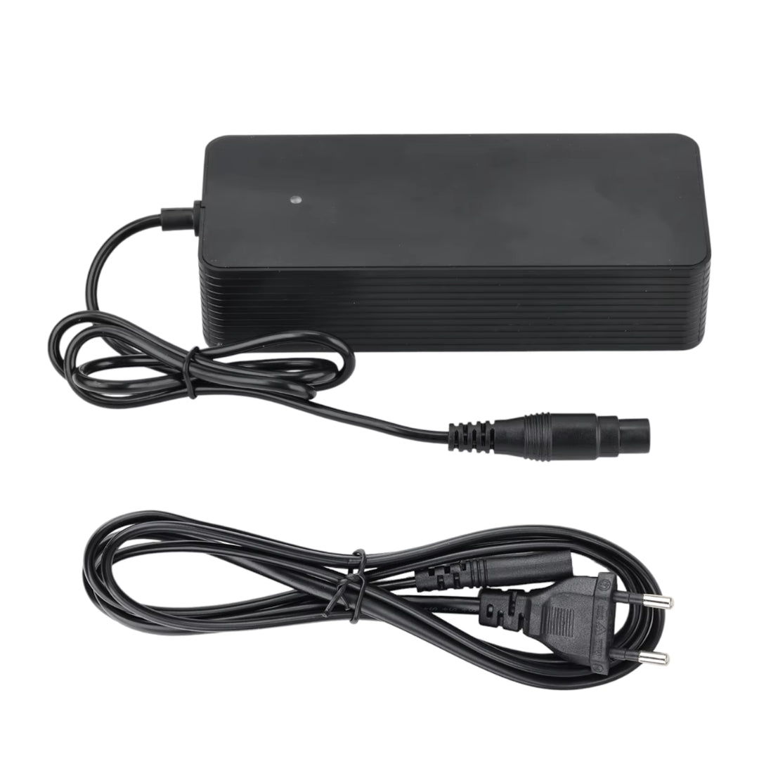 Caricabatterie rapido Xiaomi 4 Pro Plus/Max + Ninebot ZT3 - Accessori - Wheelyshop