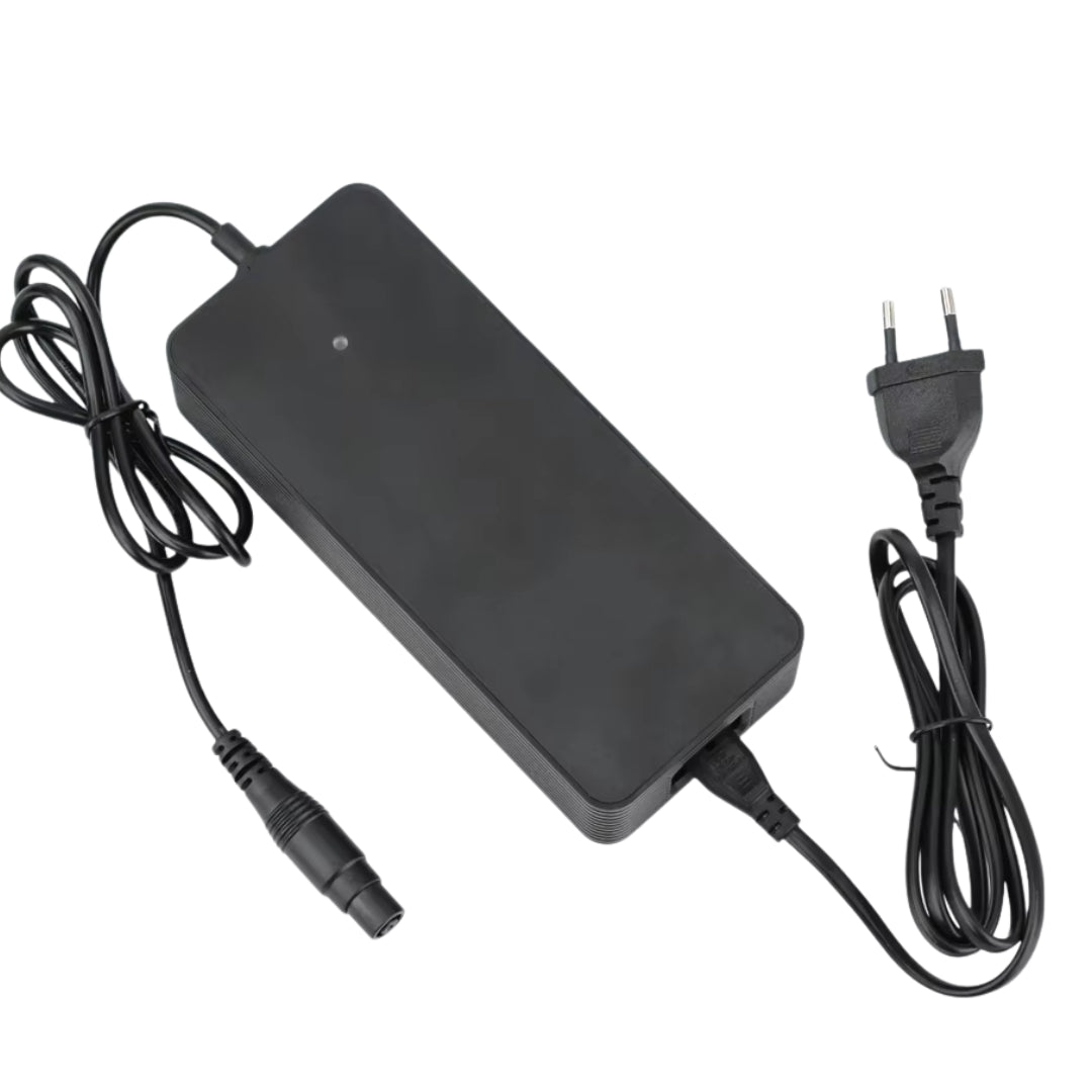 Caricabatterie rapido Xiaomi 4 Pro Plus/Max + Ninebot ZT3 - Accessori - Wheelyshop