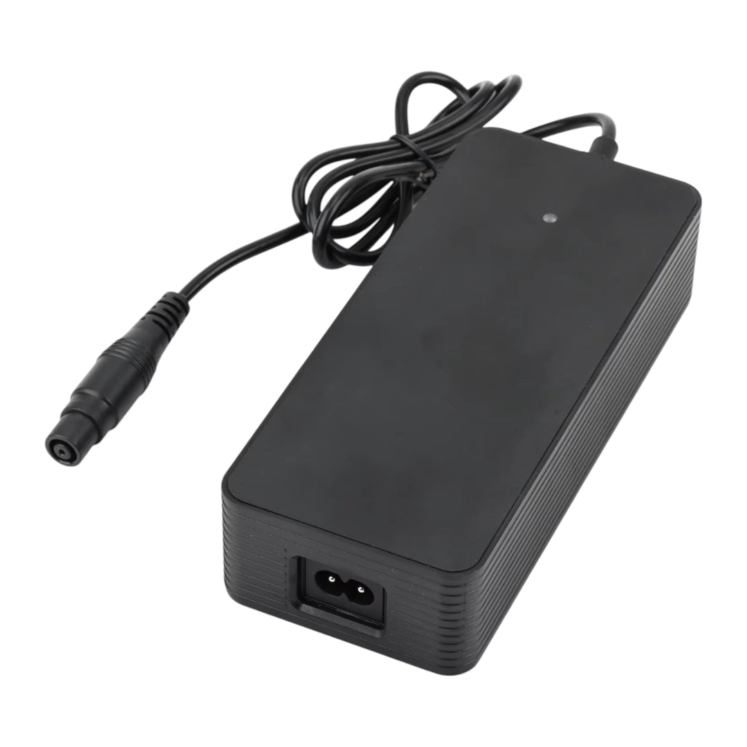 Caricabatterie rapido Xiaomi 4 Pro Plus/Max + Ninebot ZT3 - Accessori - Wheelyshop