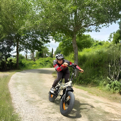 VARUN S20 - 1 - Elcykel - Wheelyshop