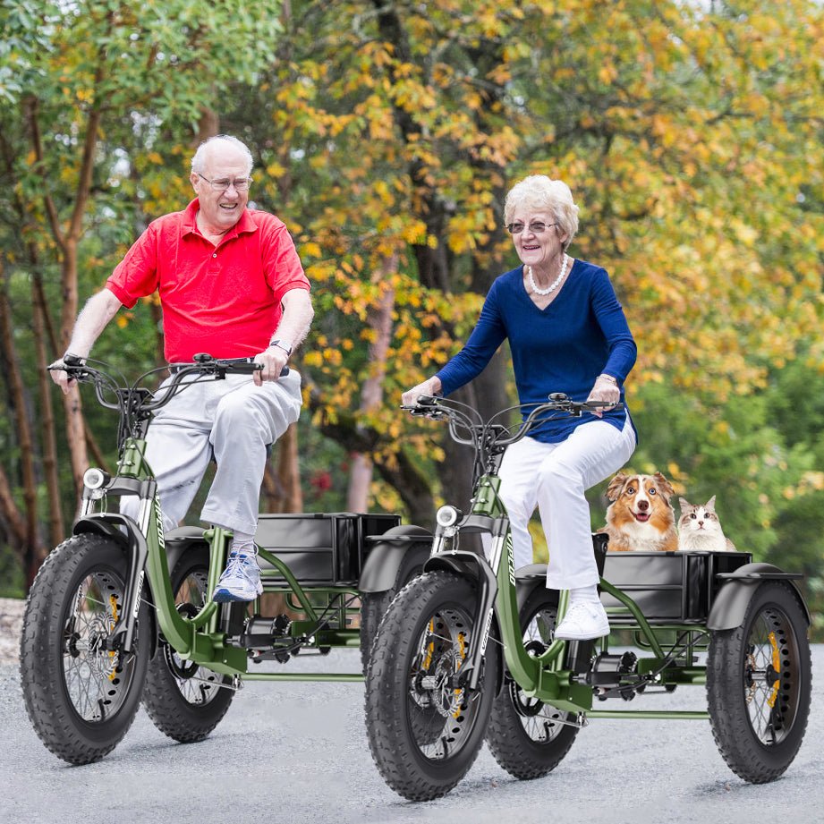 Due persone con il triciclo elettrico Hidoes ET1