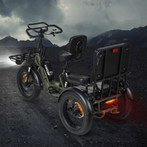 Triciclo elettrico VIPCOO R1 visto di tre quarti da dietro