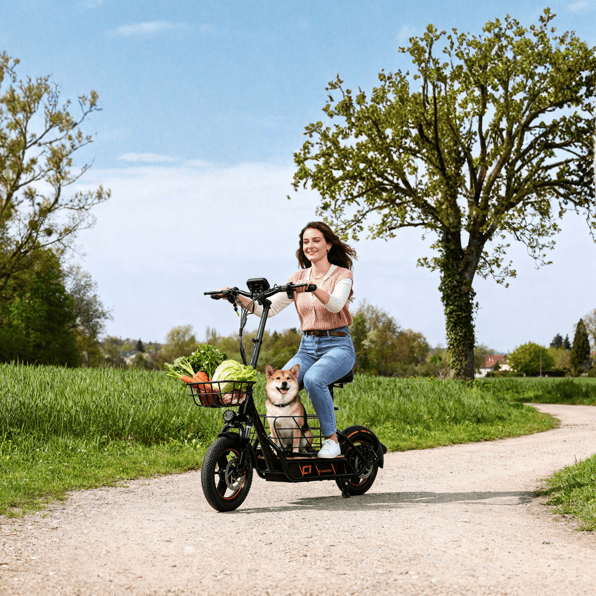 Donna alla guida del monopattino elettrico Wheely H14 in un parco
