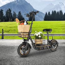 Monopattino elettrico Wheely H14 visto di tre quarti su un prato