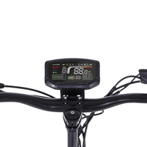 Primo piano del display del Wheely J15 Max