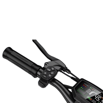 Manopola e comandi del manubrio del Wheely J15 Max