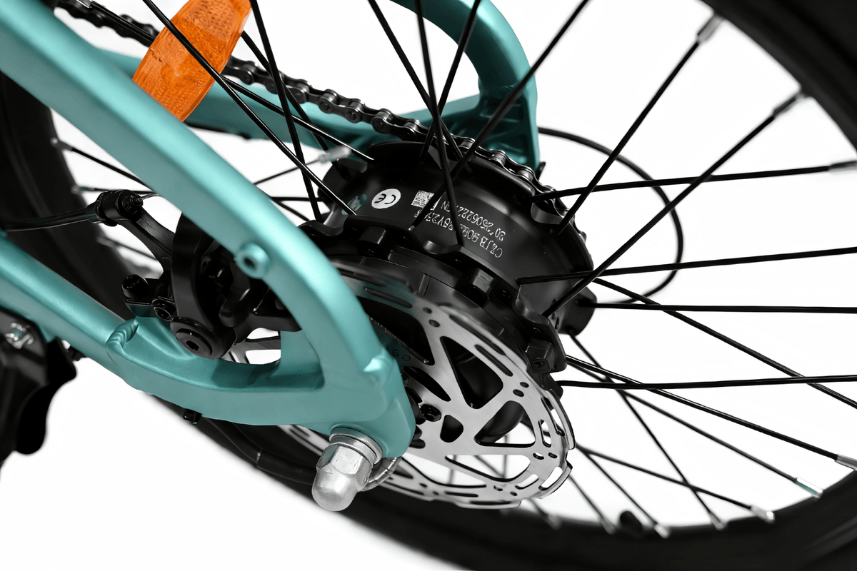 Motore nel mozzo della YANGOR H19 in colore azzurro
