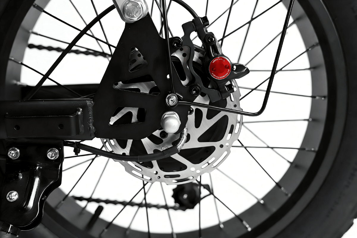 YANGOR H19 (36V 10Ah) - Elcykel - Wheelyshop