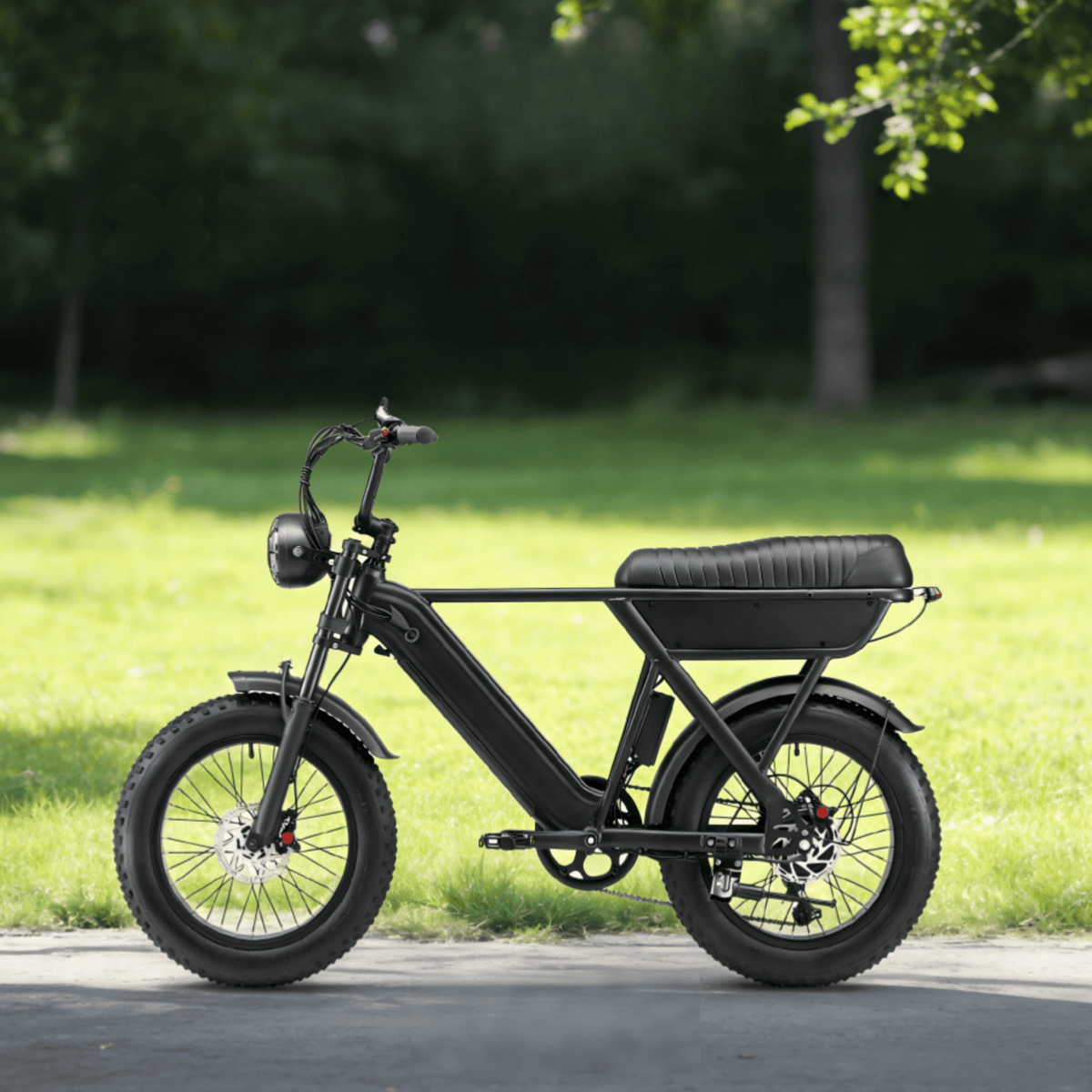 Fat bike elettrica YANGOR Y20 vista di lato in colore nero in un parco