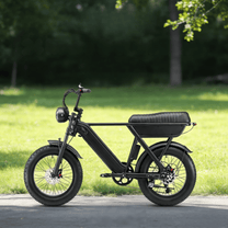Fat bike elettrica YANGOR Y20 vista di lato in colore nero in un parco