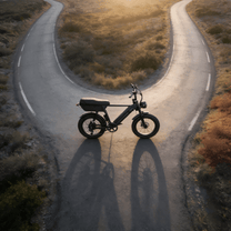Fat bike elettrica YANGOR Y20 Plus vista di tre quarti in colore nero su strada dall'alto