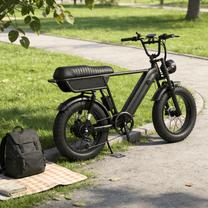 Fat bike elettrica YANGOR Y20 Plus vista di lato in colore nero in un parco