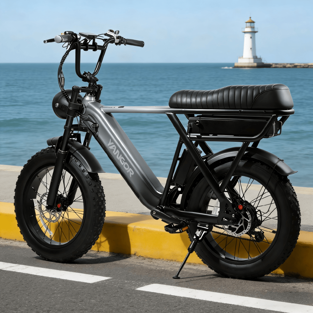 Fat bike elettrica YANGOR Y20 Pro vista di lato in colore nero su strada