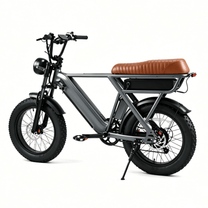 Fat bike elettrica YANGOR Y20 Pro vista di fronte in colore grigio