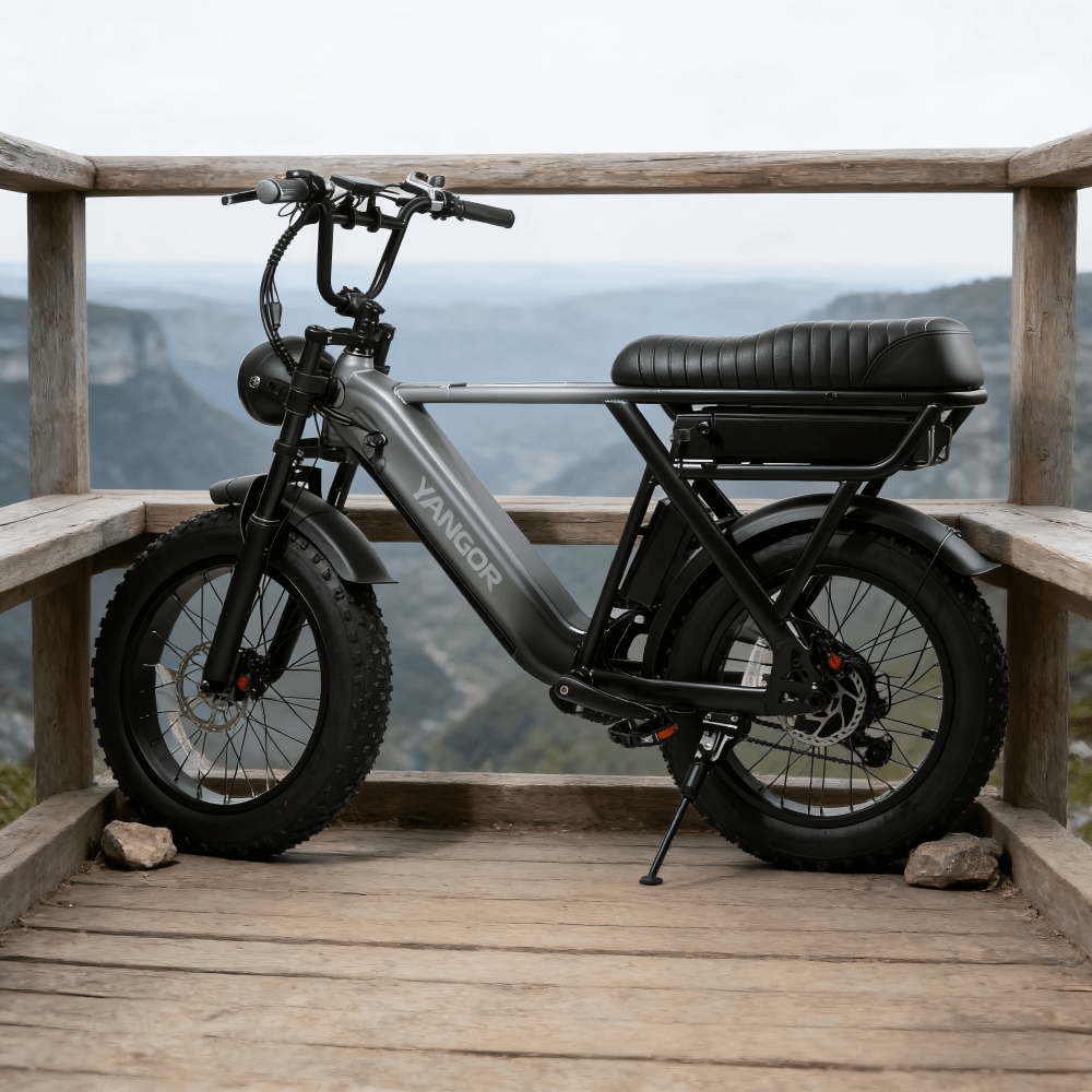 Fat bike elettrica YANGOR Y20 Pro vista di tre quarti da dietro in colore nero in riva a un lago