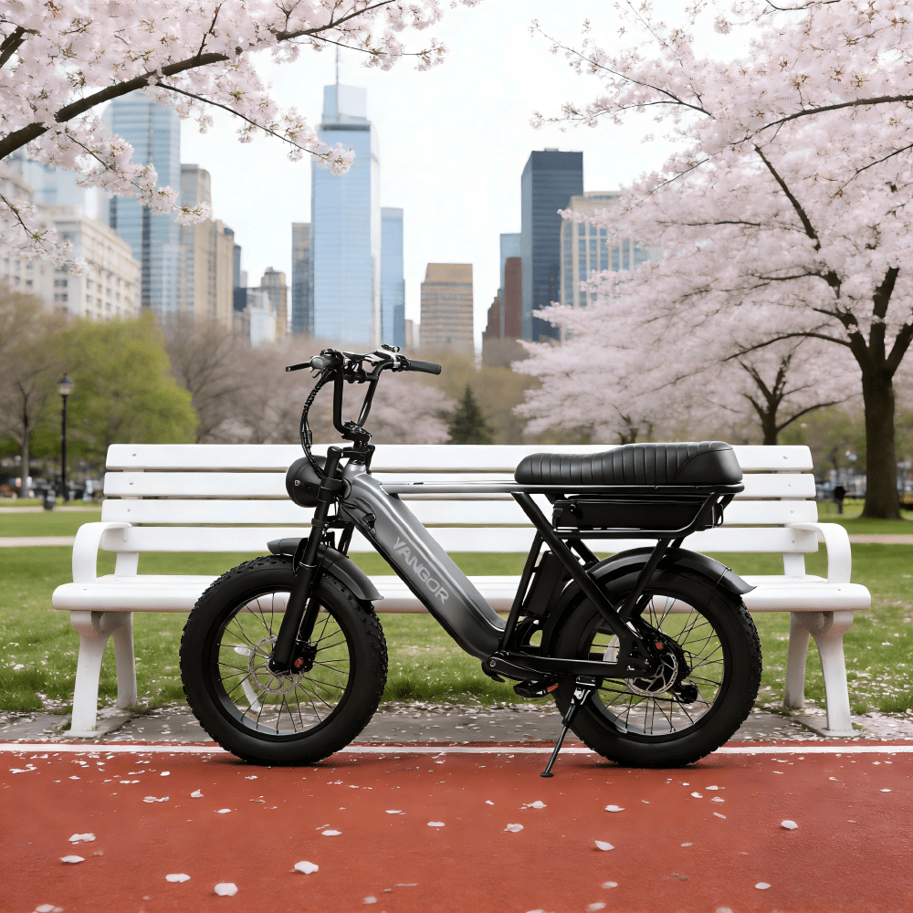 Fat bike elettrica YANGOR Y20 Pro vista di lato in colore nero in un parco