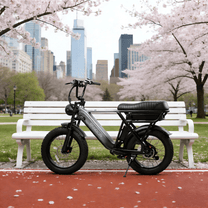 Fat bike elettrica YANGOR Y20 Pro vista di lato in colore nero in un parco
