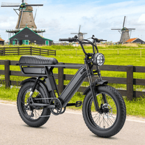 Fat bike elettrica YANGOR Y20 Pro Max vista di lato in colore nero su un prato